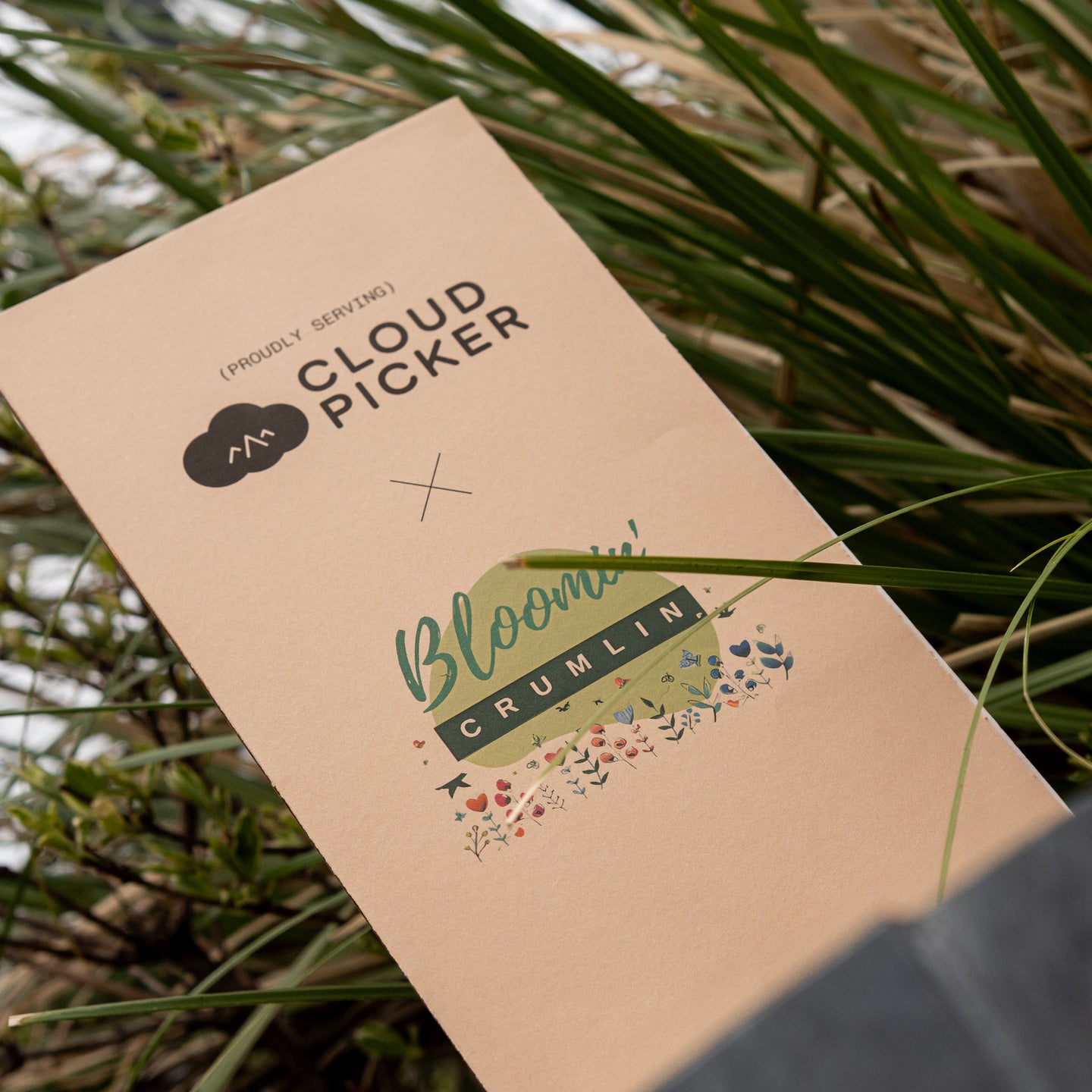There’s something quietly powerful about watching a neighborhood grow - literally.