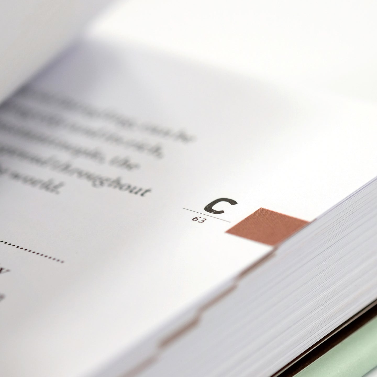 Close-up of "The Coffee Dictionary" accessory by Cloud Picker Coffee showing detailed cover design and textured surface.