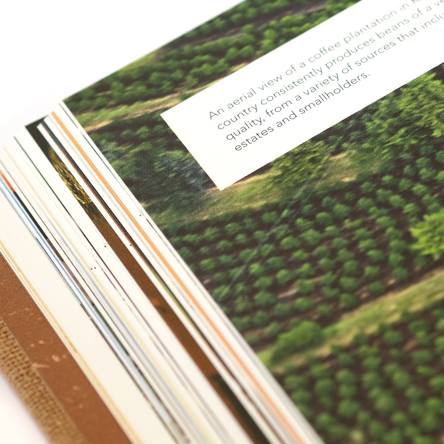 Colorful map of the world atlas of coffee merchandise by Cloud Picker Coffee, showcasing global coffee regions and origins.